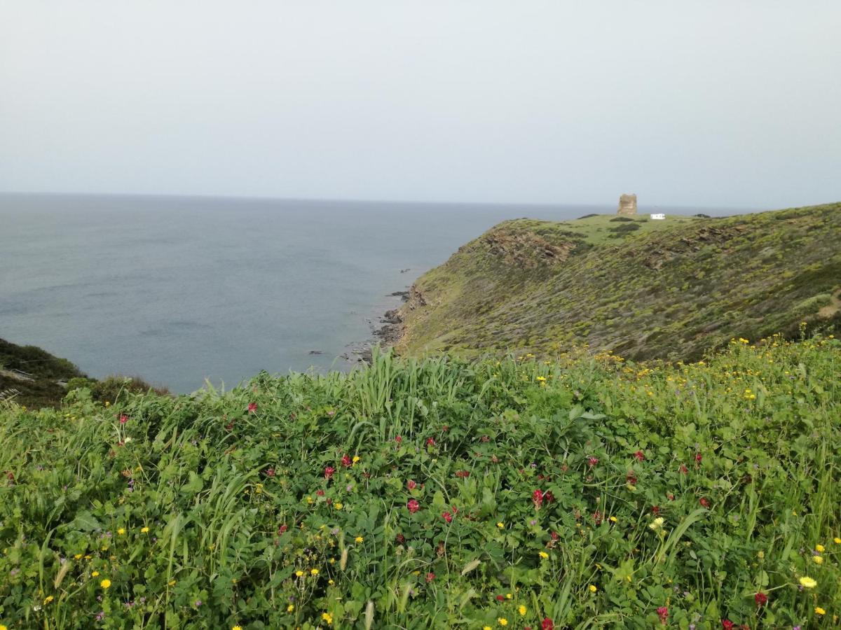 La Calla Bianca Torre dei Corsari Exteriör bild